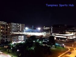 Blk 856B Tampines Arcadia (Tampines), HDB Executive #558807831